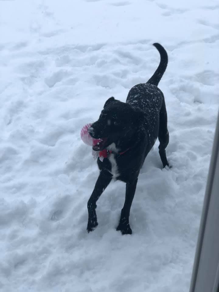 Prancing through the snow!